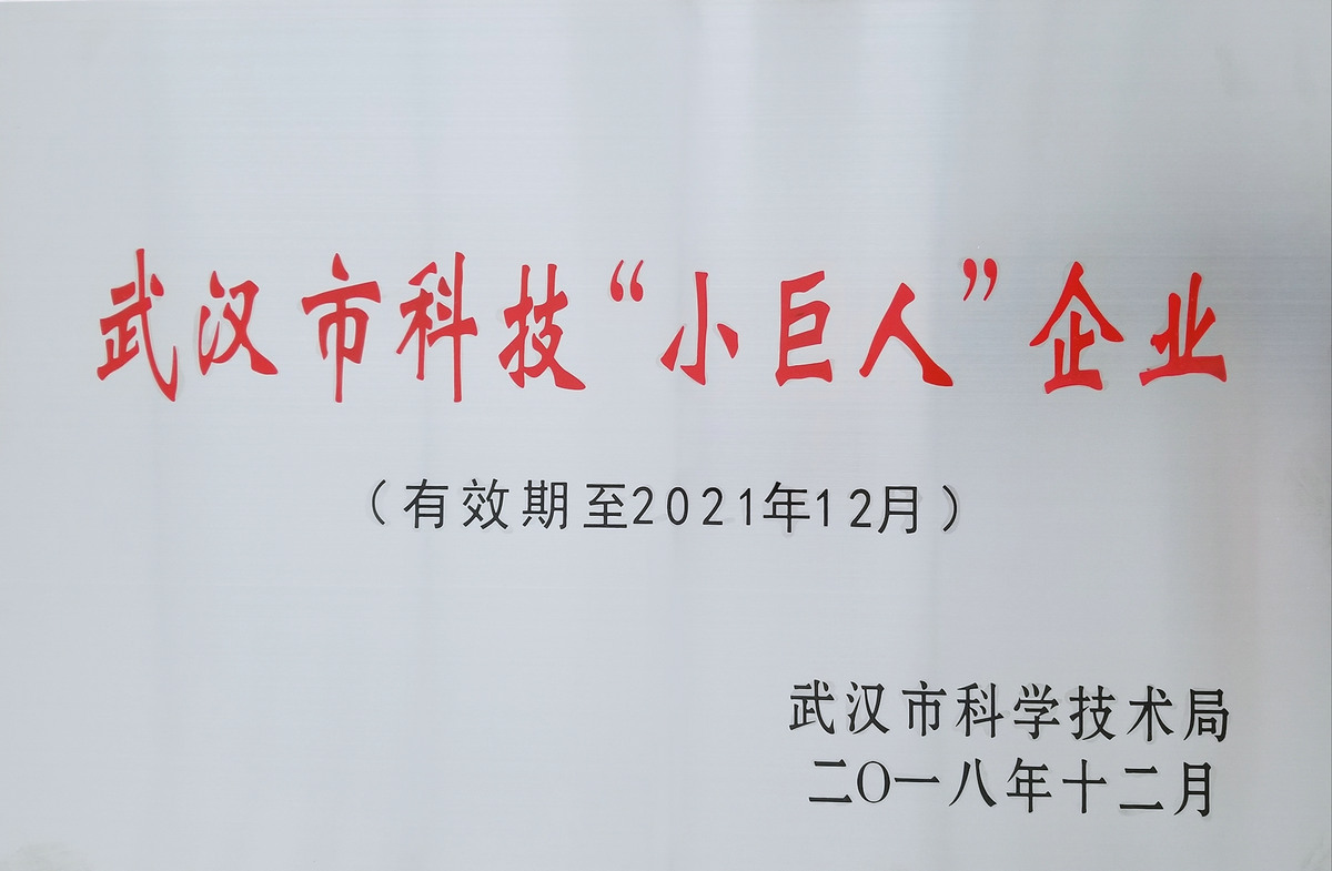 武汉市科技小巨人